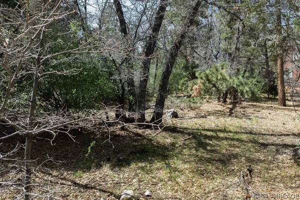 $129,900 | 1530 Tuolumne Road, Big Bear City, CA 92314