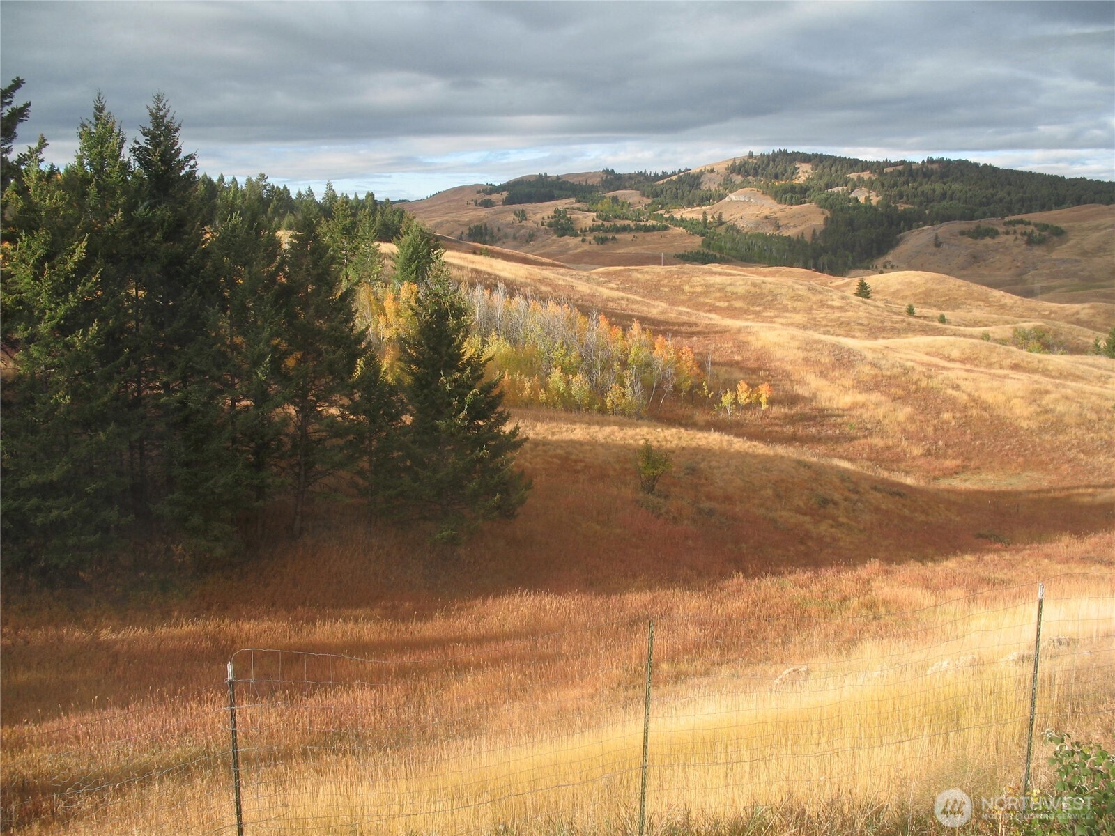 40 Turner Homestead Road Oroville, WA 98844 - Photo 24 of 27