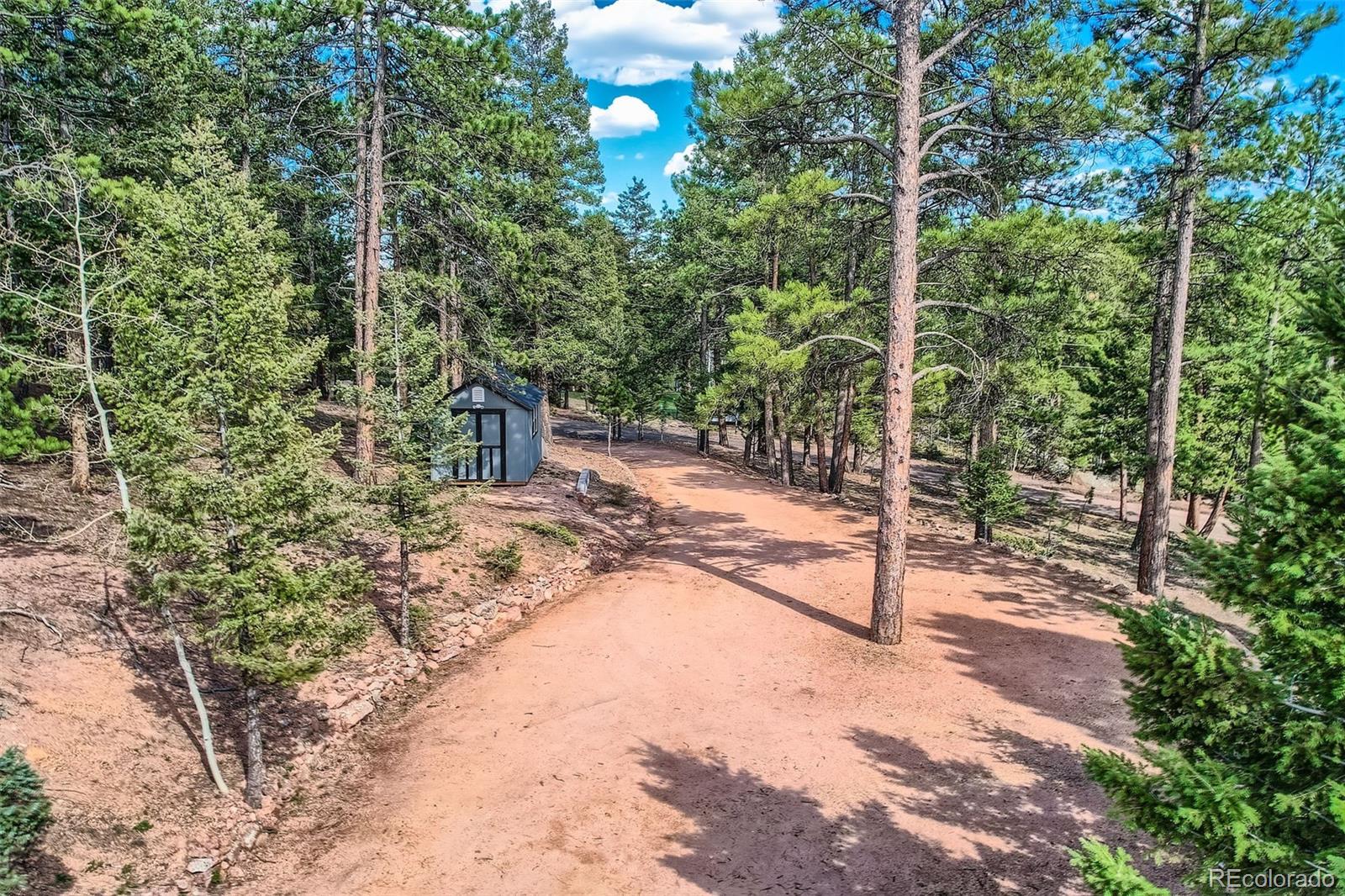 28669 Mountain View Road Conifer, CO 80433 - Photo 28 of 40 a view of a forest filled with trees