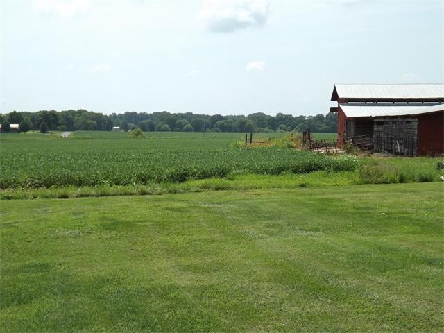81 Orton Road Lawrenceburg, TN 38464 - Photo 11 of 20 Gallery Image 11