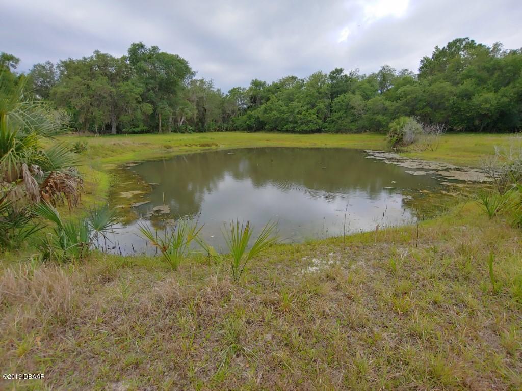 4279 Cow Creek Road Edgewater, FL 32141 - Photo 3 of 17 0514191427_HDR (Medium)
