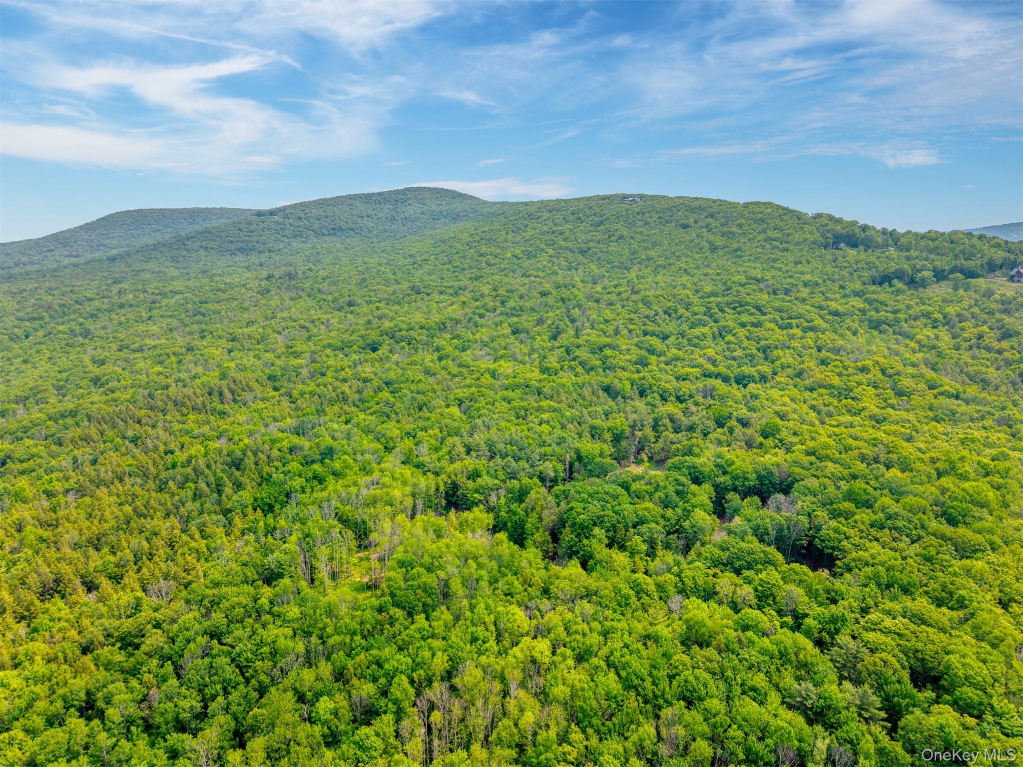 Tbd Boulder Brook Road Windham, NY 12496 - Photo 22 of 46 View of mountain background with a forest
