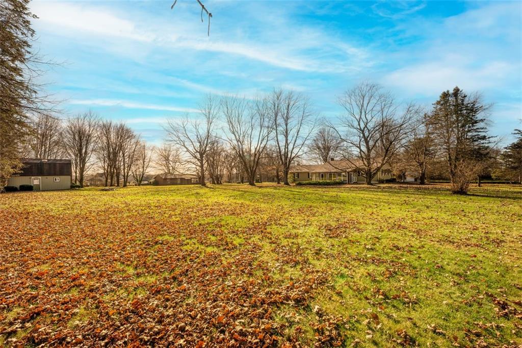 3128 New Butler Road New Castle, PA 16101 - Photo 11 of 12 a view of yard with tree