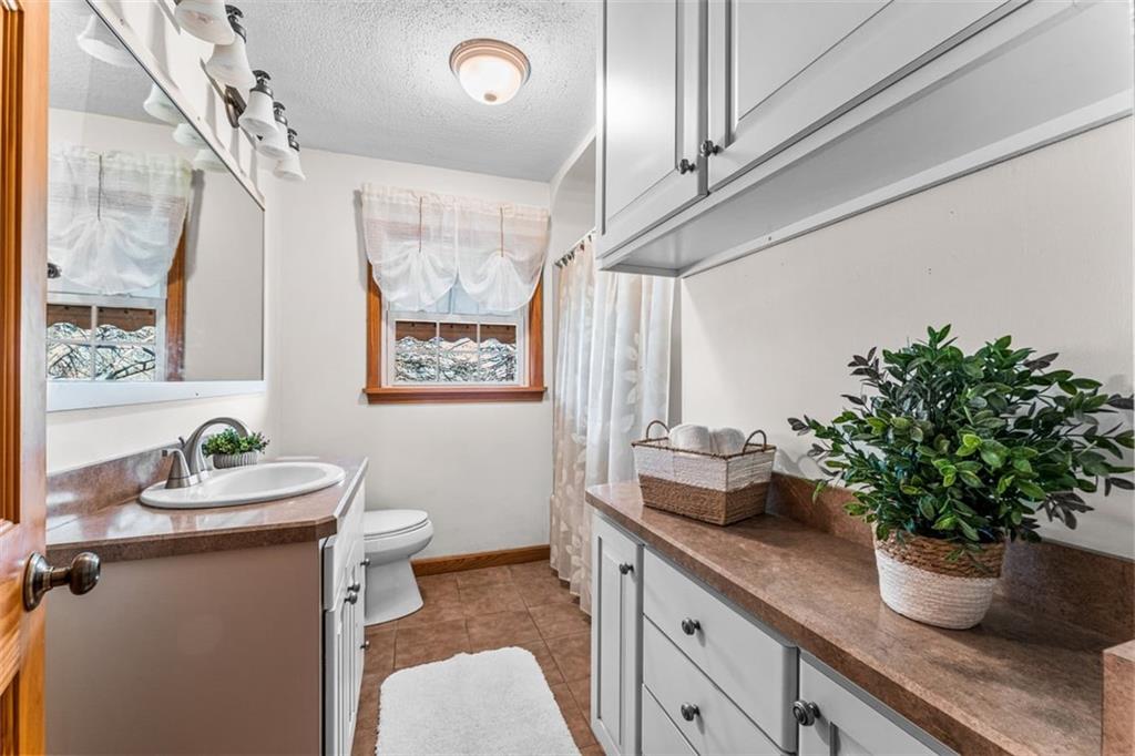 3128 New Butler Road New Castle, PA 16101 - Photo 6 of 12 a bathroom with a potted plant on the counter and a sink