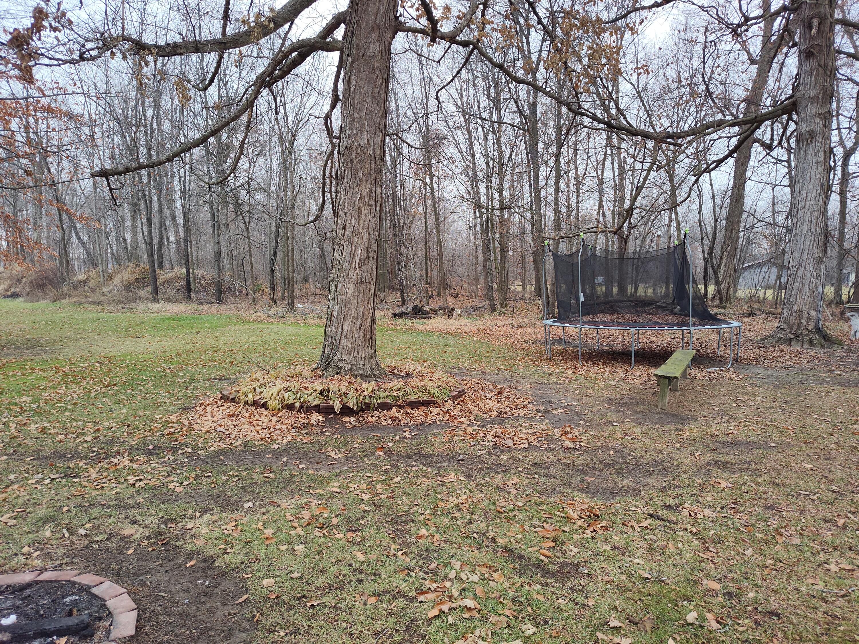 1233 Robinson Road Quincy, MI 49082 - Photo 38 of 44 1000016707