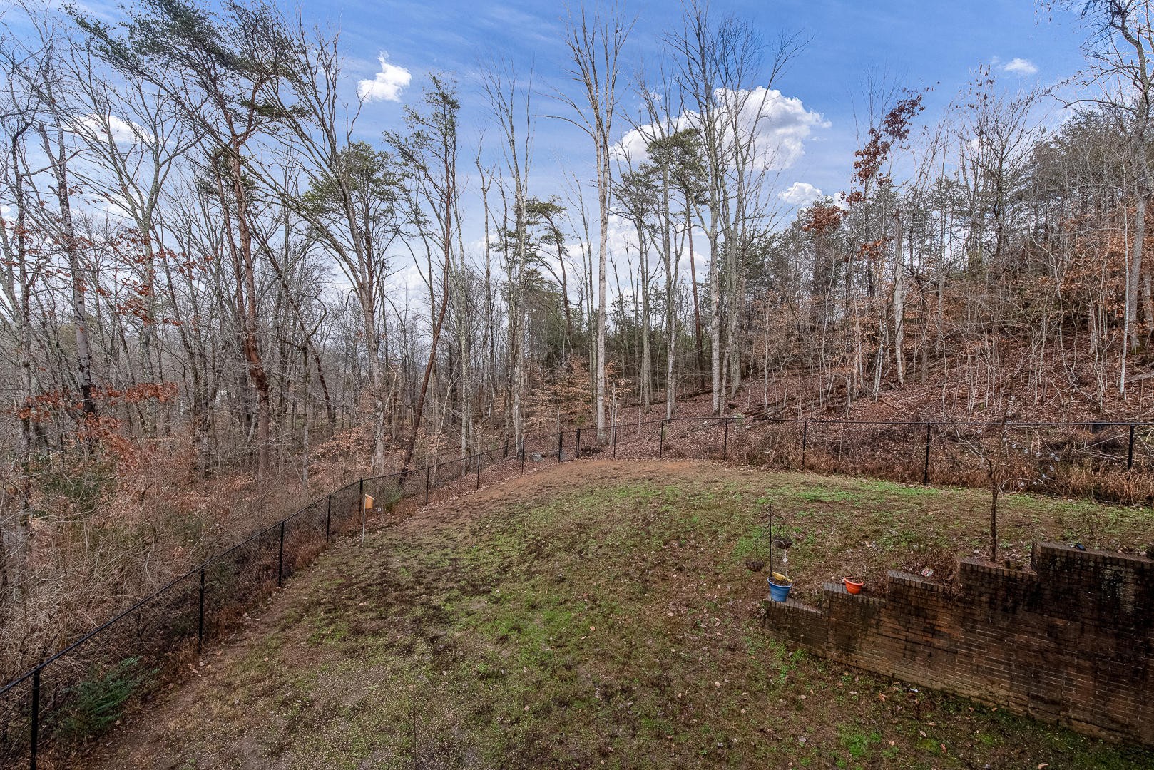 146 Cumberland View Drive Oak Ridge, TN 37830 - Photo 33 of 35 a view of a yard with large trees