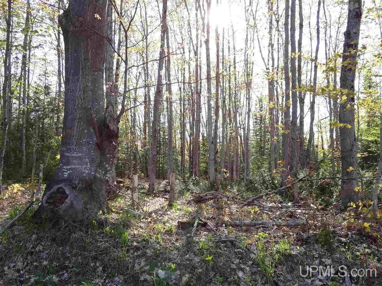 Tbd Rauhala Road, Unit PARCEL 2 Atlantic Mine, MI 49931 - Photo 9 of 19 Gallery Image 9