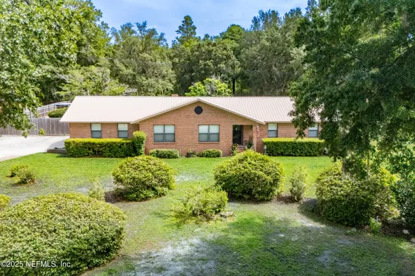 a view of a park with large trees