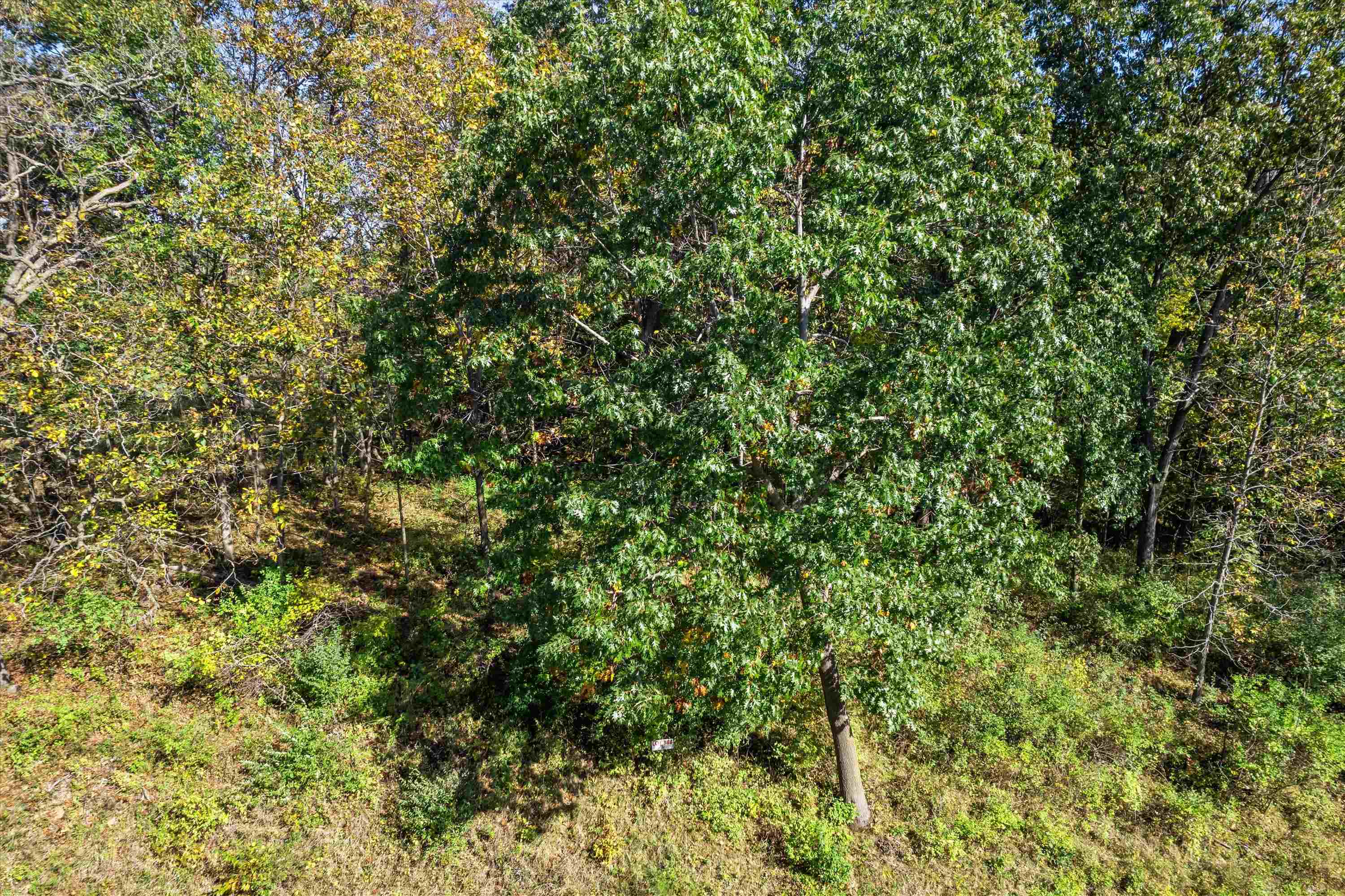 1375 West Dutch Hollow Road La Valle, WI 53941 - Photo 2 of 15