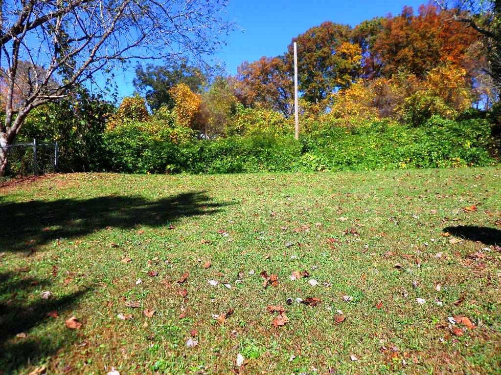 642 Robertsville Road Oak Ridge, TN 37830 - Photo 14 of 15 backyard