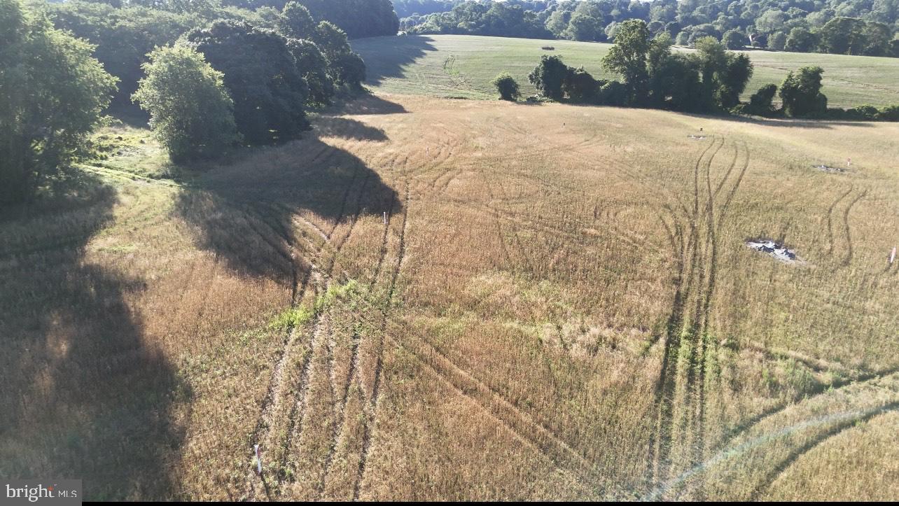 2517 Port Lane Fallston, MD 21047 - Photo 8 of 10 a bathroom with a bathtub