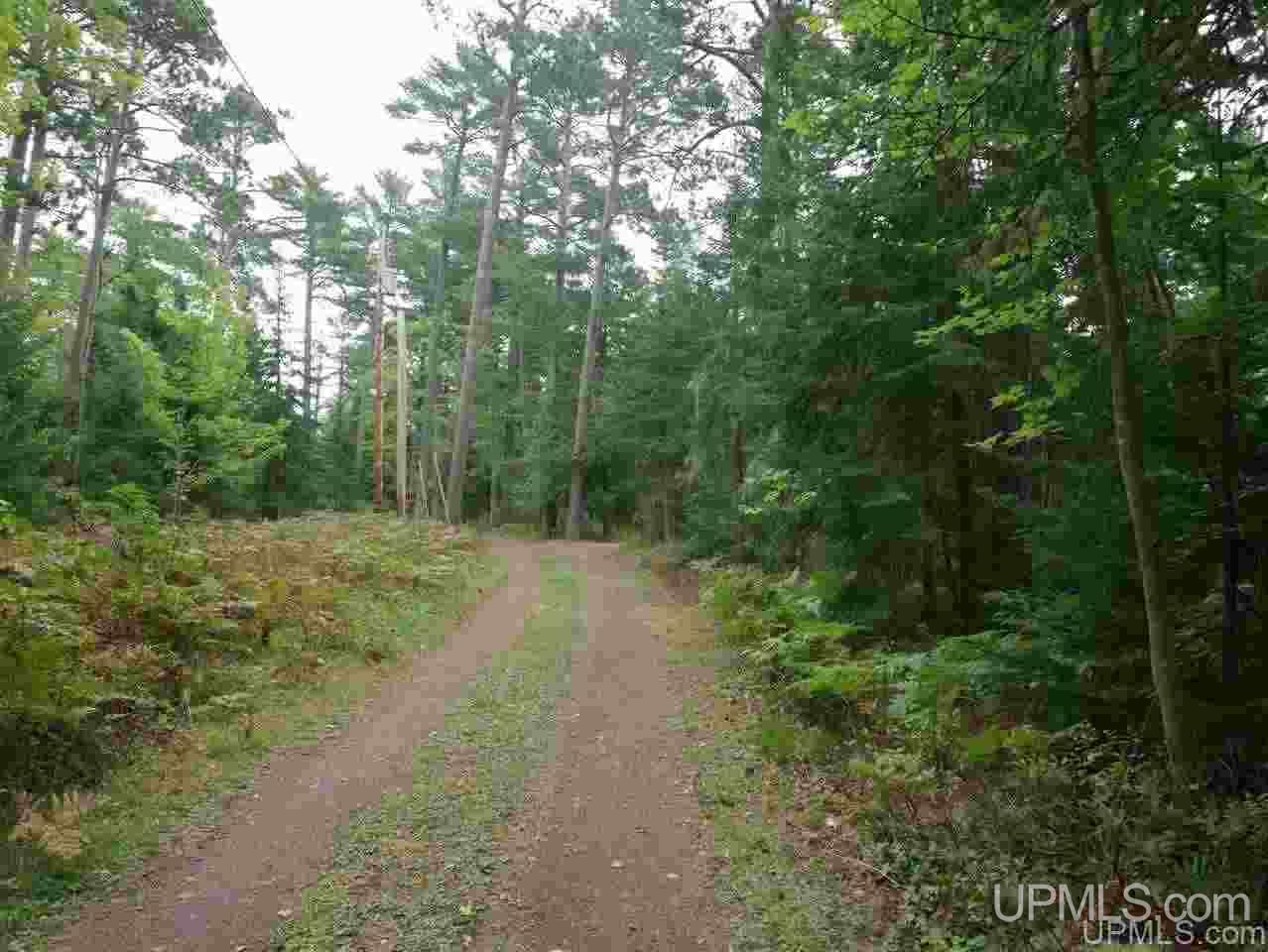 Lots 12-and 13 Lake Lily Road Mohawk, MI 49918 - Photo 13 of 27