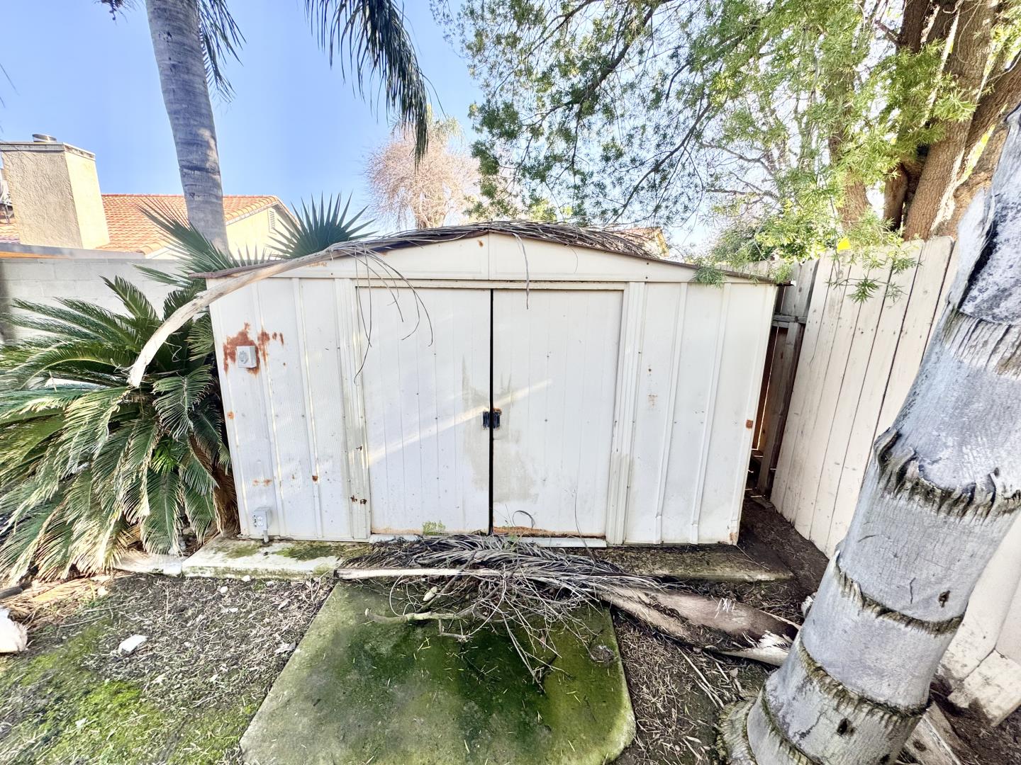 7605 Golden Rise Court Bakersfield, CA 93313 - Photo 16 of 16 a backyard of a house with a tree