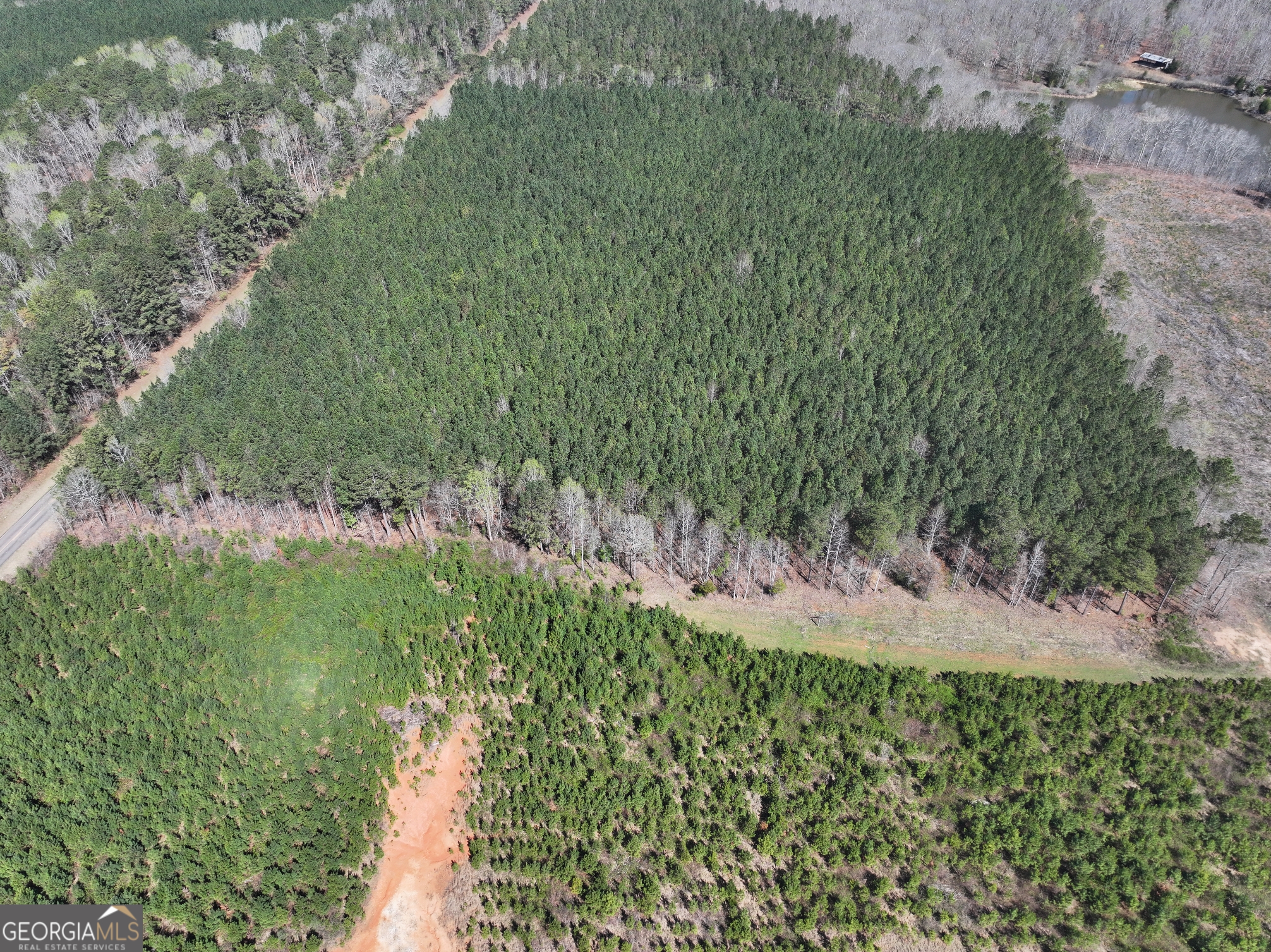 257 Acres On Ridgeway Road Franklin, GA 30217 - Photo 9 of 28