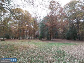 953 Lower Mill Road Pittsgrove, NJ 08318 - Photo 12 of 12