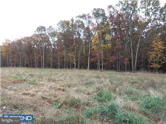 953 Lower Mill Road Pittsgrove, NJ 08318 - Photo 10 of 12