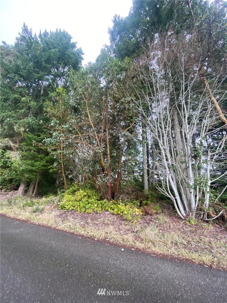 0 Northeast Warner Street Bremerton, WA 98310 - Photo 8 of 9 Gallery Image 8