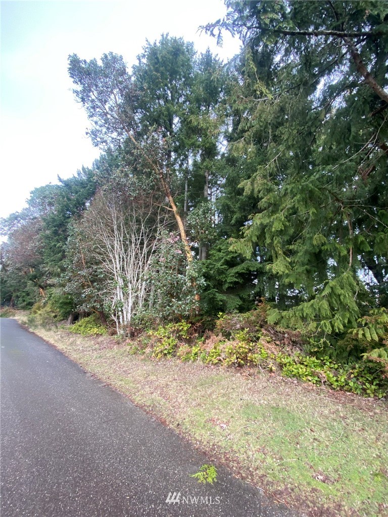 0 Northeast Warner Street Bremerton, WA 98310 - Photo 9 of 9 Gallery Image 9