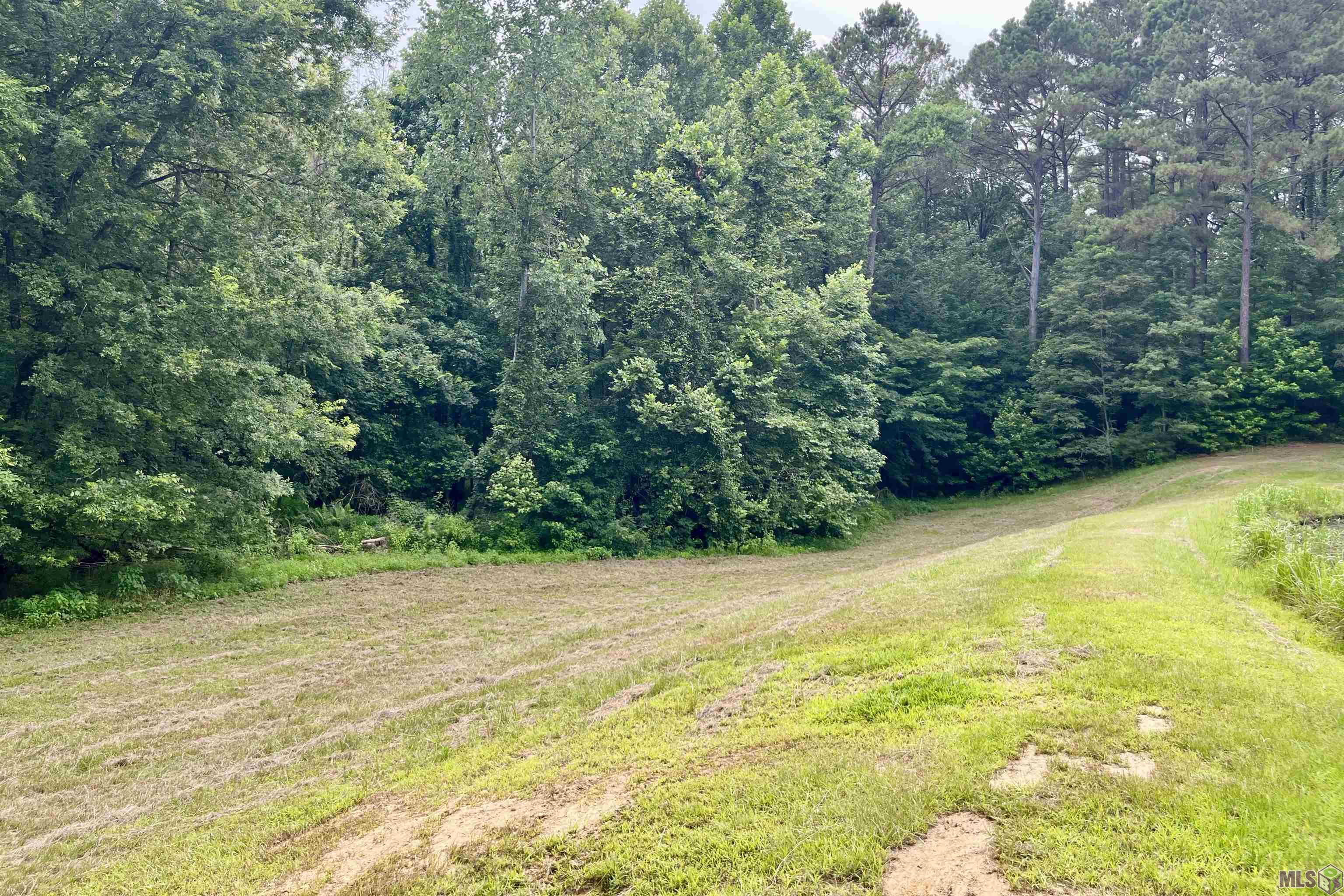 655 Oil Well Road Fayette, MS 39069 - Photo 38 of 58