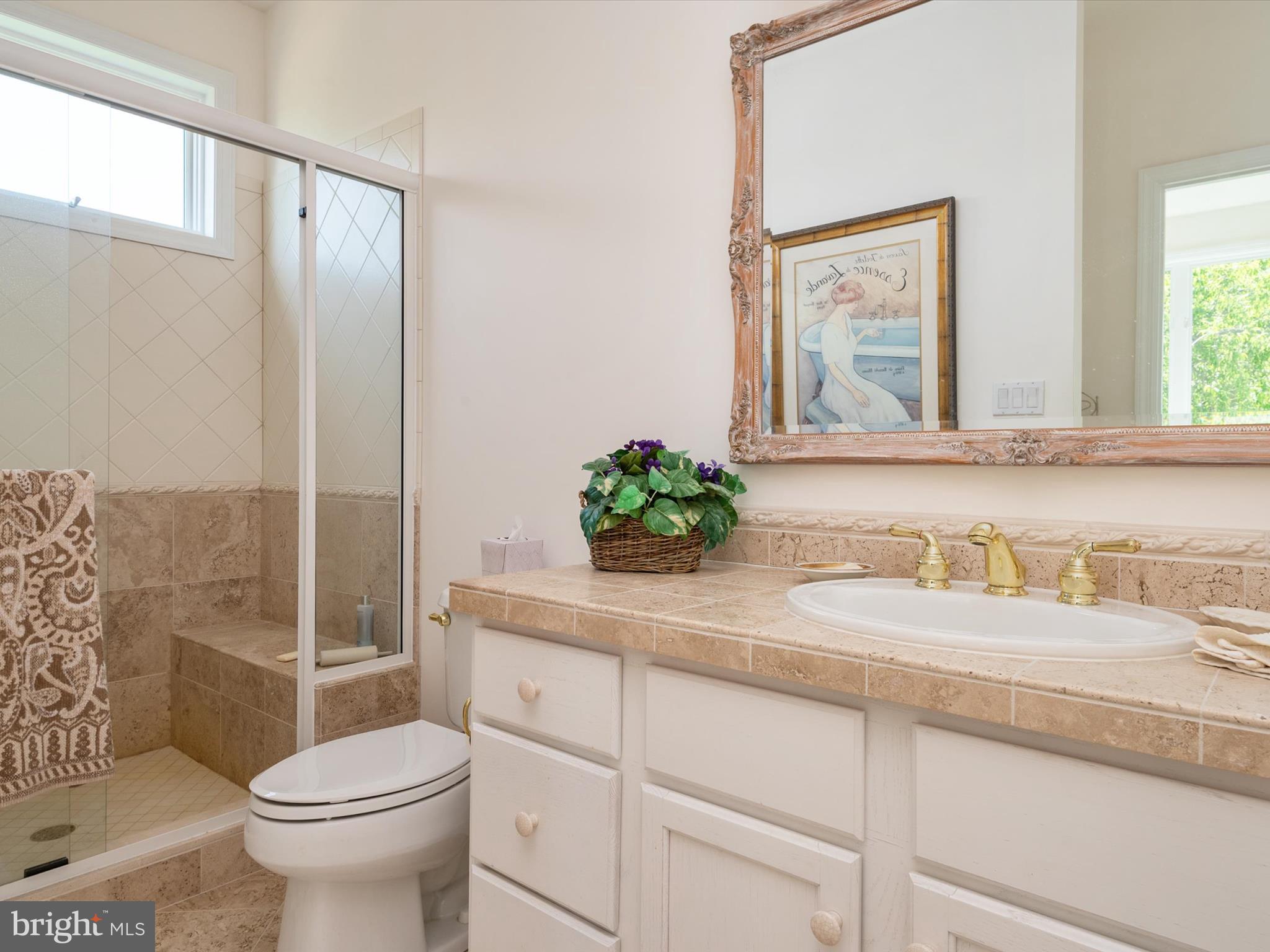 1237 Cherry Tree Lane Annapolis, MD 21403 - Photo 47 of 86 a bathroom with a granite countertop sink a toilet and a mirror