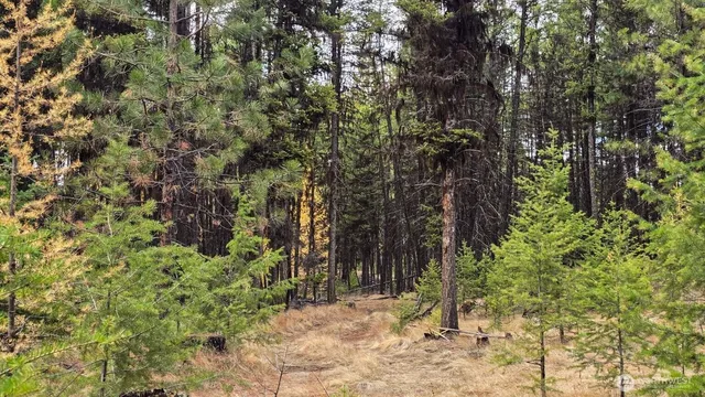 $50,000 | 0 Hwy 20 Tonasket Wa 98855, Tonasket, WA 98855