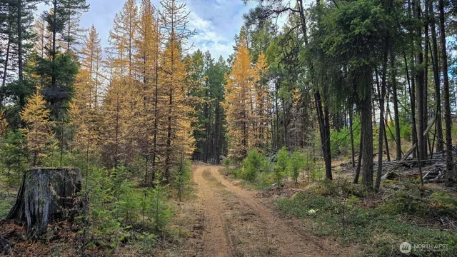 $50,000 | 0 Hwy 20 Tonasket Wa 98855, Tonasket, WA 98855