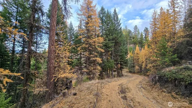 $50,000 | 0 Hwy 20 Tonasket Wa 98855, Tonasket, WA 98855