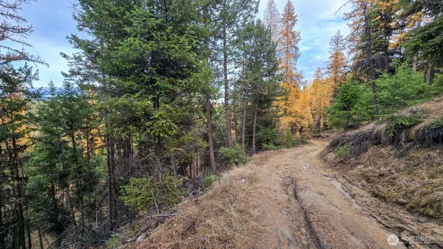 $50,000 | 0 Hwy 20 Tonasket Wa 98855, Tonasket, WA 98855
