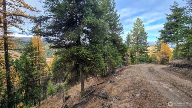 $50,000 | 0 Hwy 20 Tonasket Wa 98855, Tonasket, WA 98855