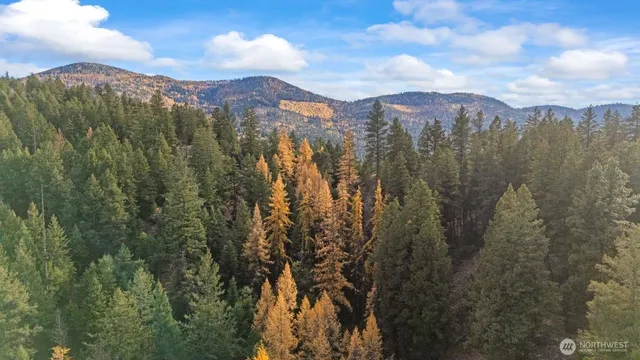 $50,000 | 0 Hwy 20 Tonasket Wa 98855, Tonasket, WA 98855