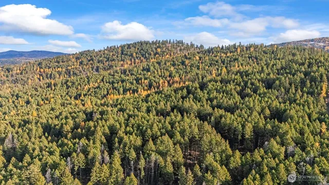 $50,000 | 0 Hwy 20 Tonasket Wa 98855, Tonasket, WA 98855