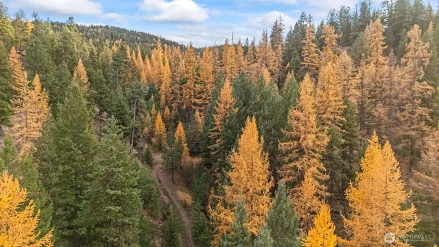 $50,000 | 0 Hwy 20 Tonasket Wa 98855, Tonasket, WA 98855