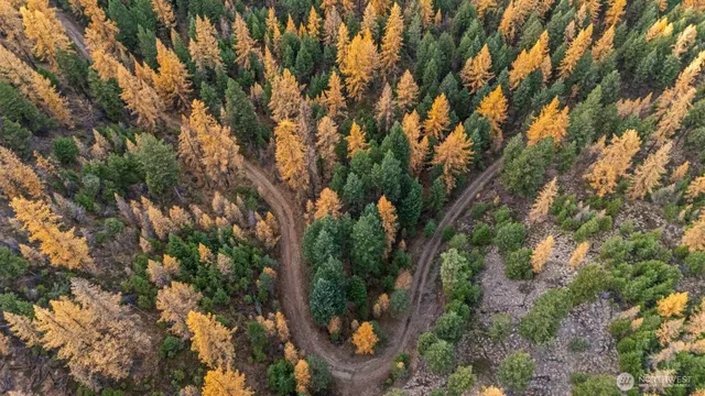 $50,000 | 0 Hwy 20 Tonasket Wa 98855, Tonasket, WA 98855