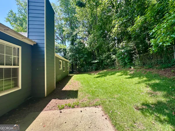 a view of a backyard with a plants and large tree