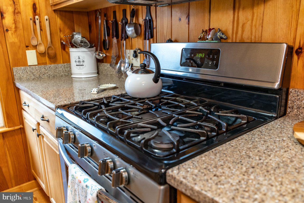 8545 Sugar Grove Road Sugar Grove, WV 26815 - Photo 19 of 99