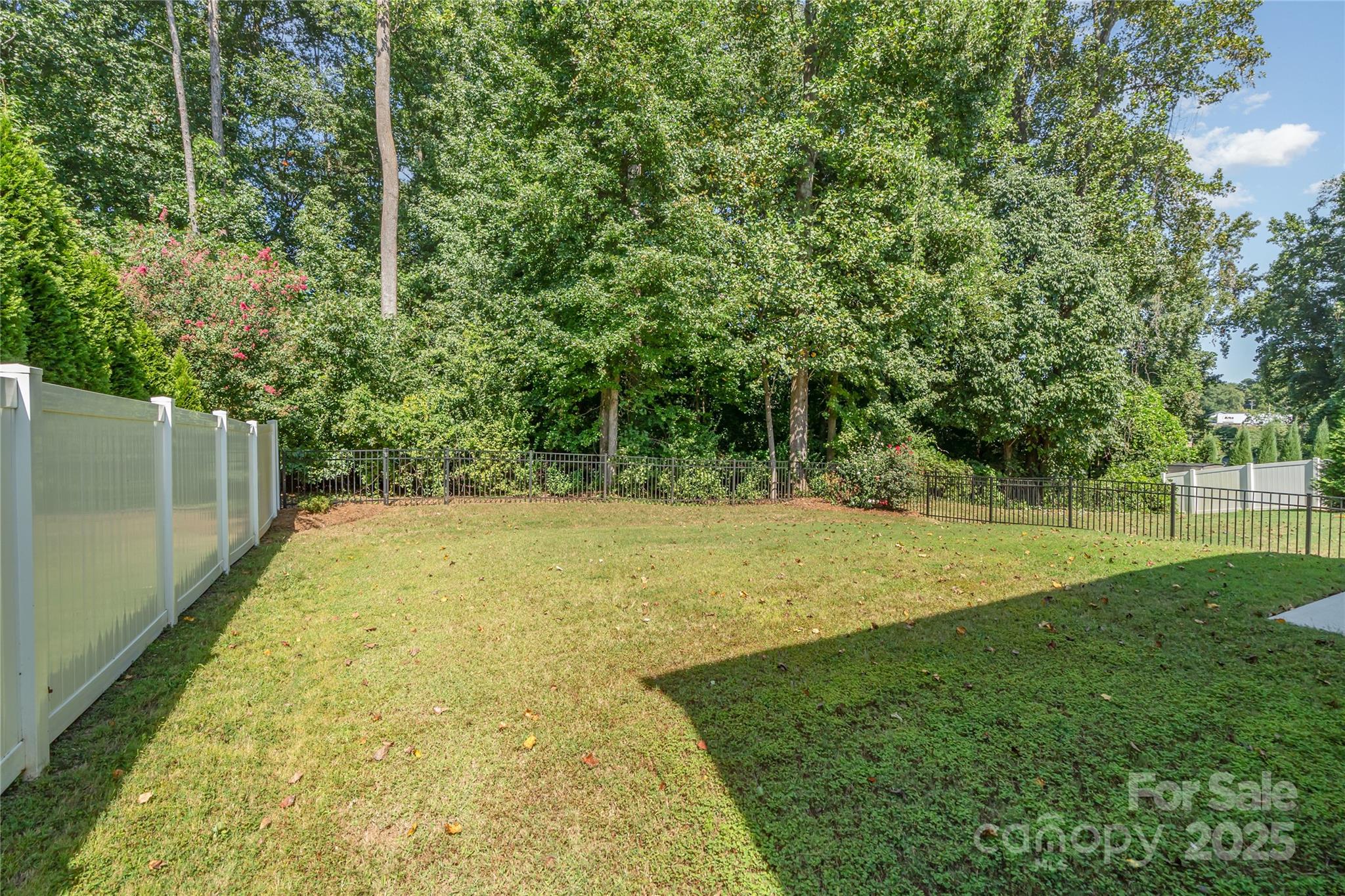 1528 Spring Blossom Trail Fort Mill, SC 29708 - Photo 25 of 26 a view of a yard with large trees
