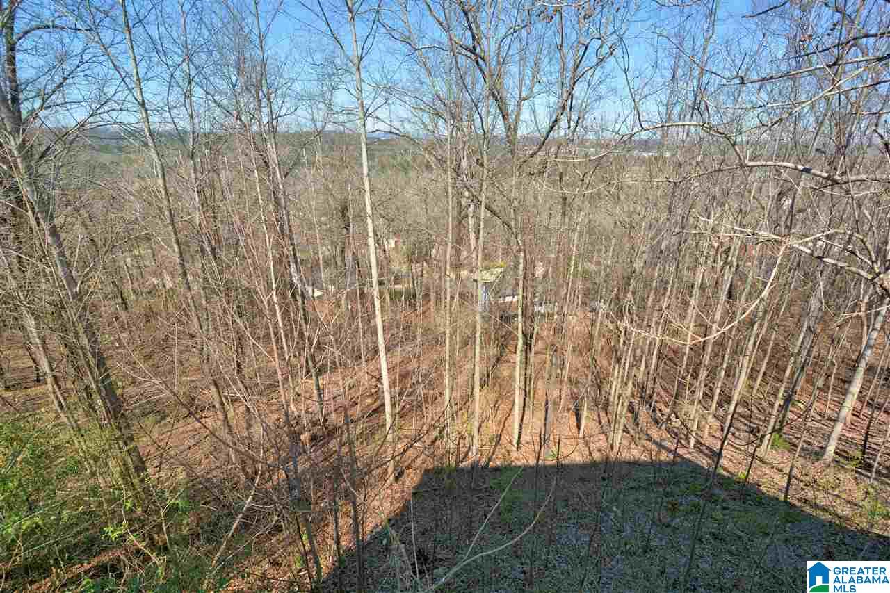 1274 Eagle Park Road Birmingham, AL 35242 - Photo 45 of 49