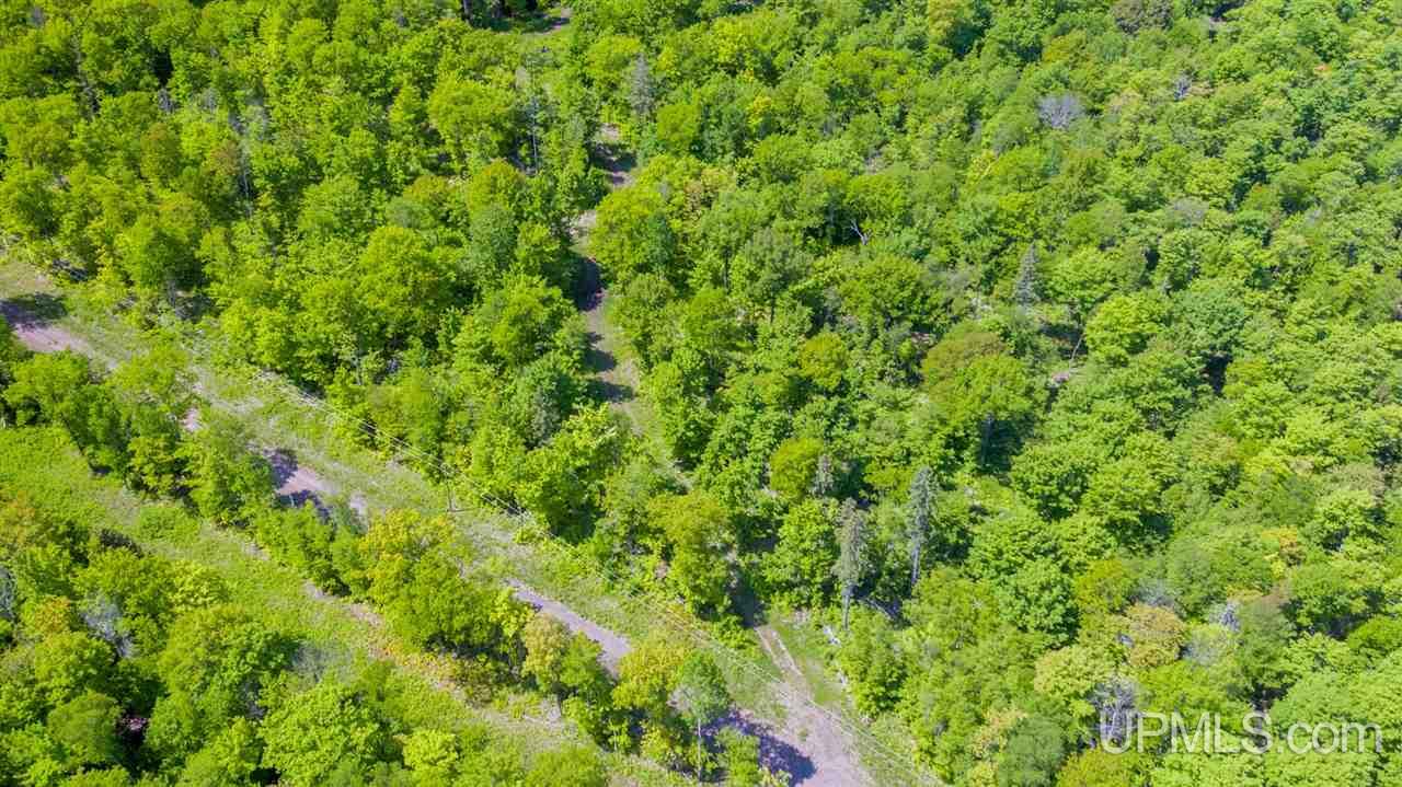 Tbd A - G Deere Ridge Road Calumet, MI 49930 - Photo 6 of 39