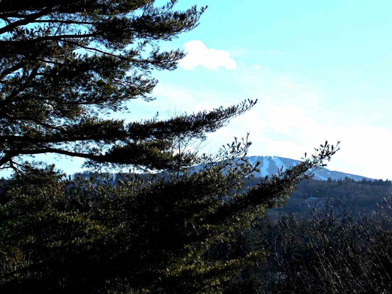 5 Winhall Condominium Winhall, VT 05340 - Photo 2 of 26