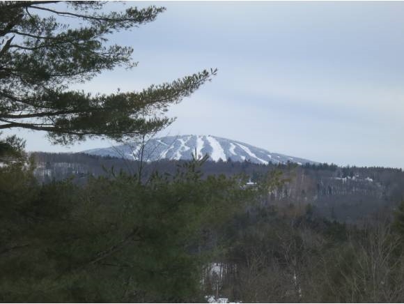 5 Winhall Condominium Winhall, VT 05340 - Photo 25 of 26
