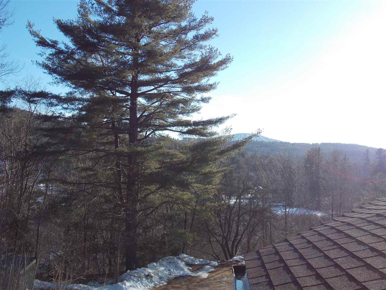 5 Winhall Condominium Winhall, VT 05340 - Photo 26 of 26