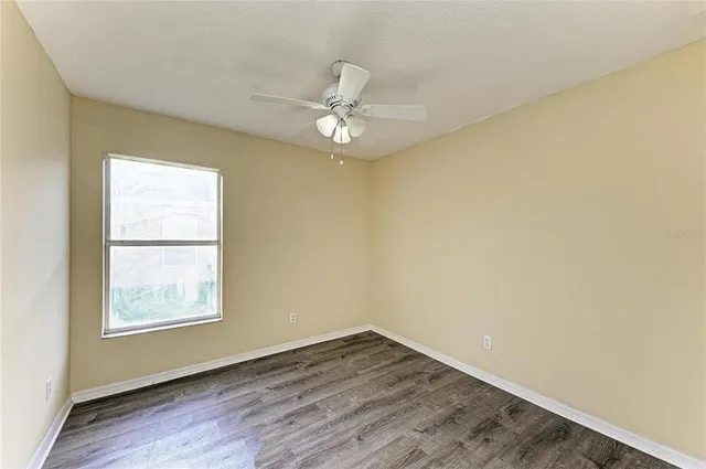 a view of a garden with plants and large trees