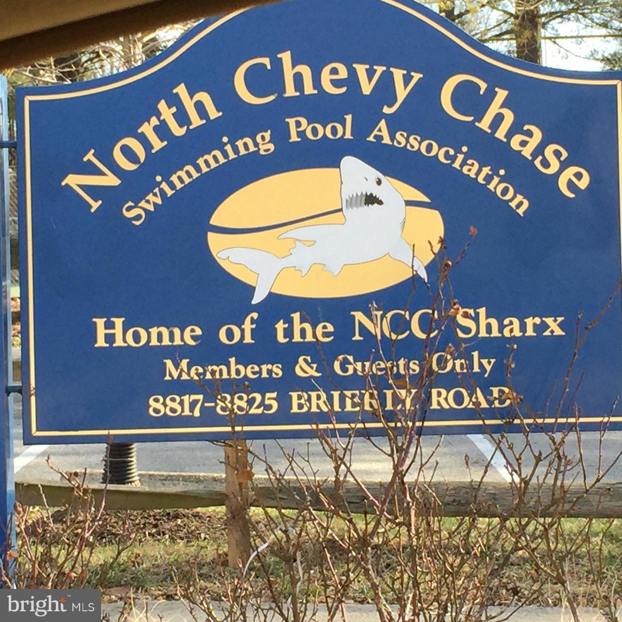 8805 Brierly Road Chevy Chase, MD 20815 - Photo 23 of 29 Swim Club