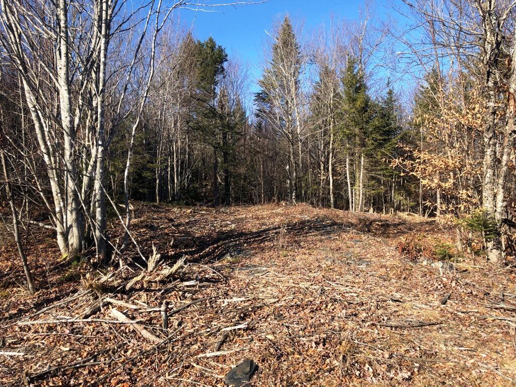 Lot5 Lot5 Alpine Ridge Greenville, ME 04441 - Photo 4 of 4 IMG_4998