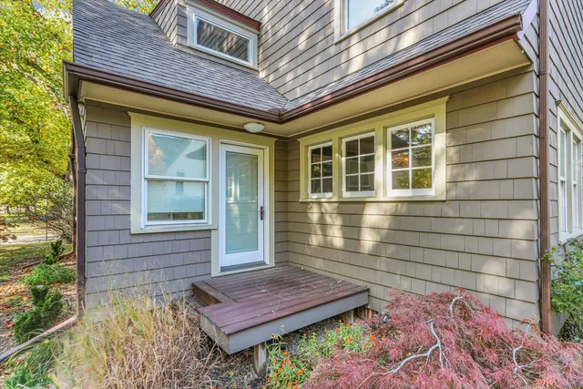 a view of a yard with plants and a bench