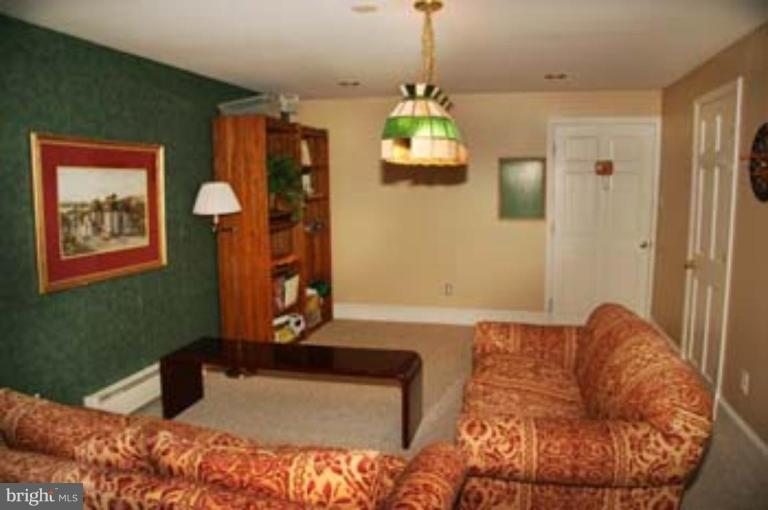 2105 Highland Ridge Drive Phoenix, MD 21131 - Photo 11 of 26 Basement #1