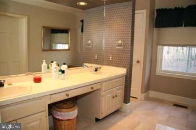 2105 Highland Ridge Drive Phoenix, MD 21131 - Photo 13 of 26 Master Bath
