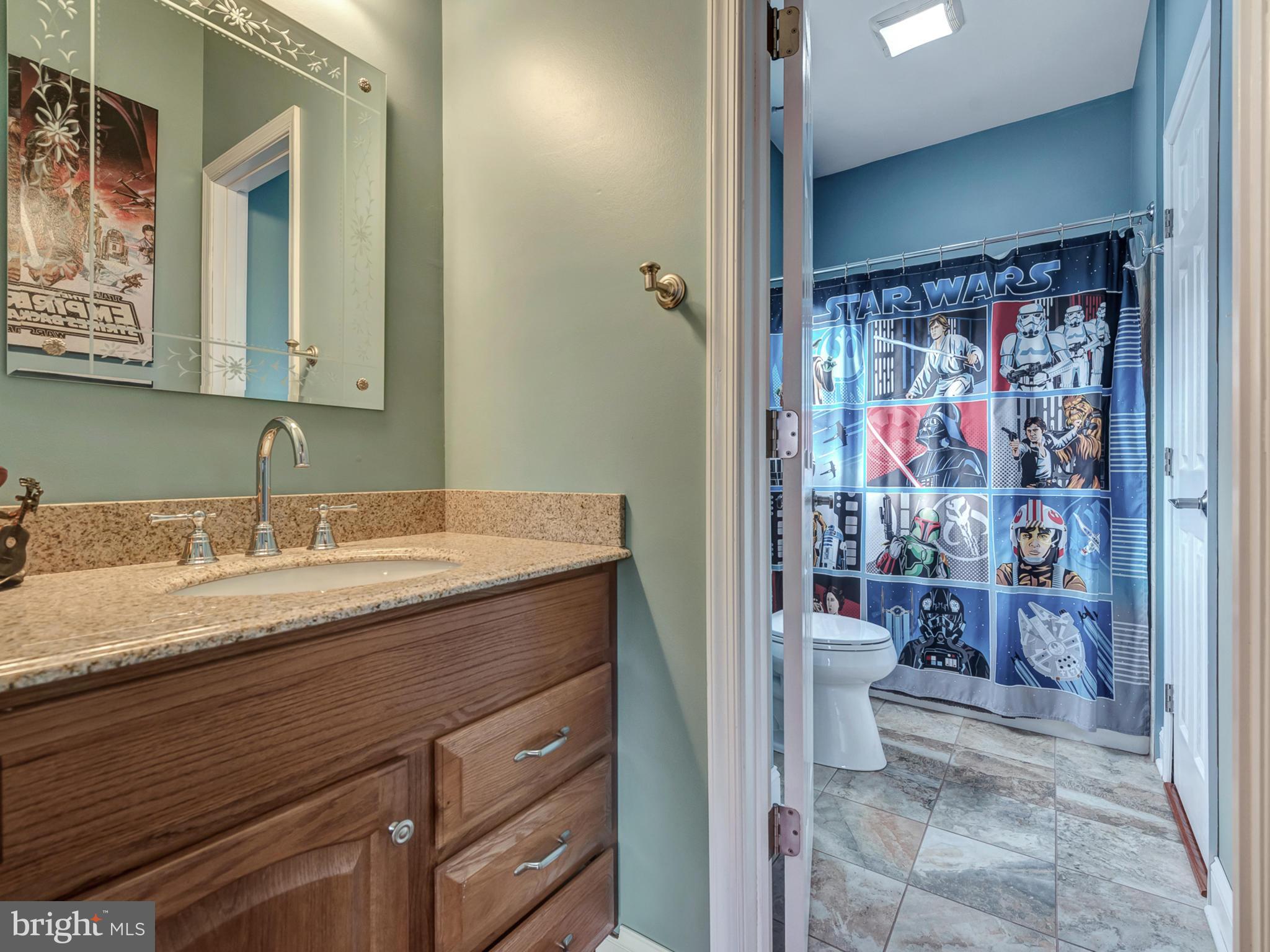 4947 Old Swimming Pool Road Frederick, MD 21703 - Photo 48 of 72 a bathroom with a granite countertop sink a toilet a shower and a mirror