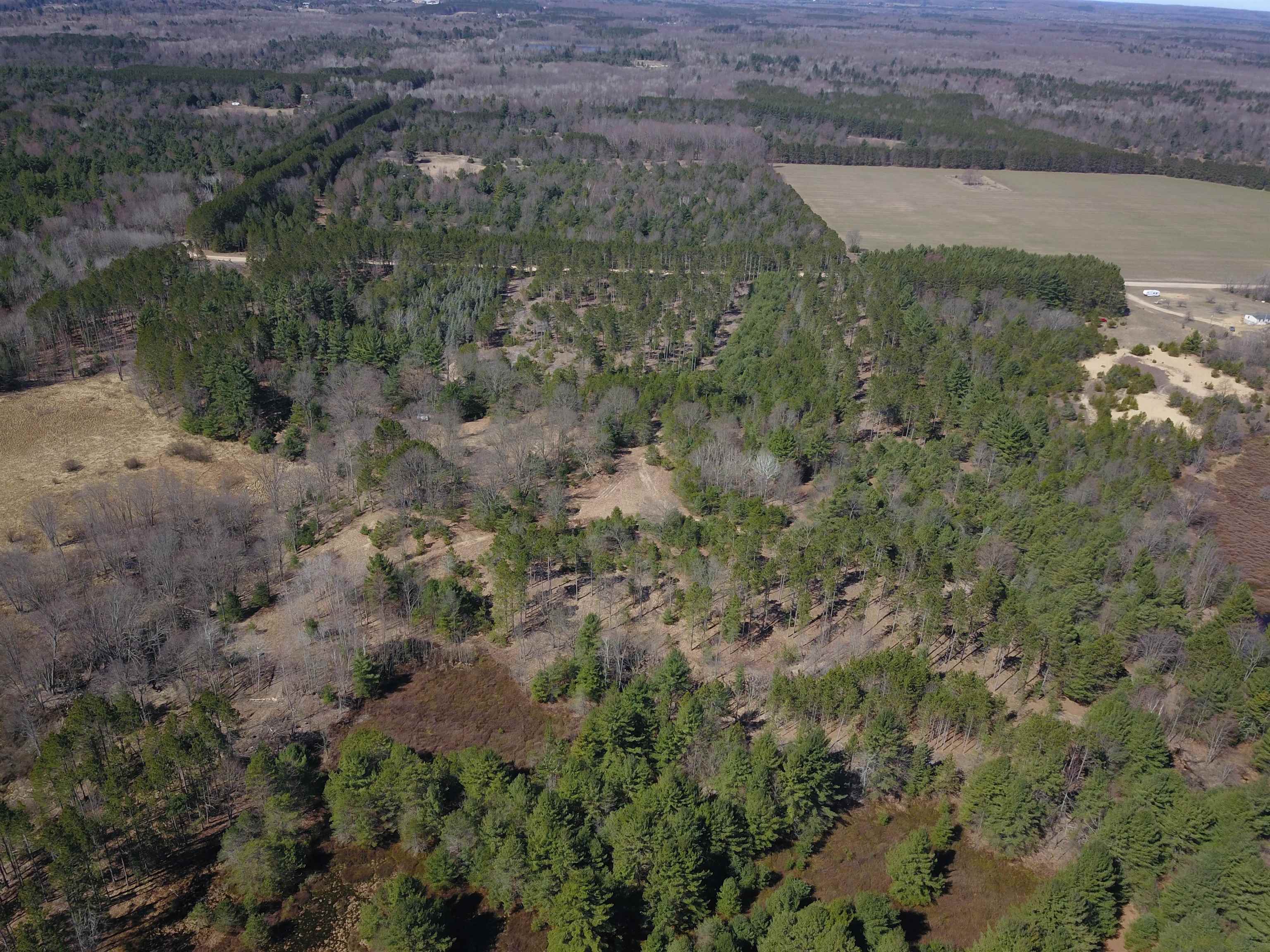 10-acres Niemi Road Kaleva, MI 49645 - Photo 11 of 24