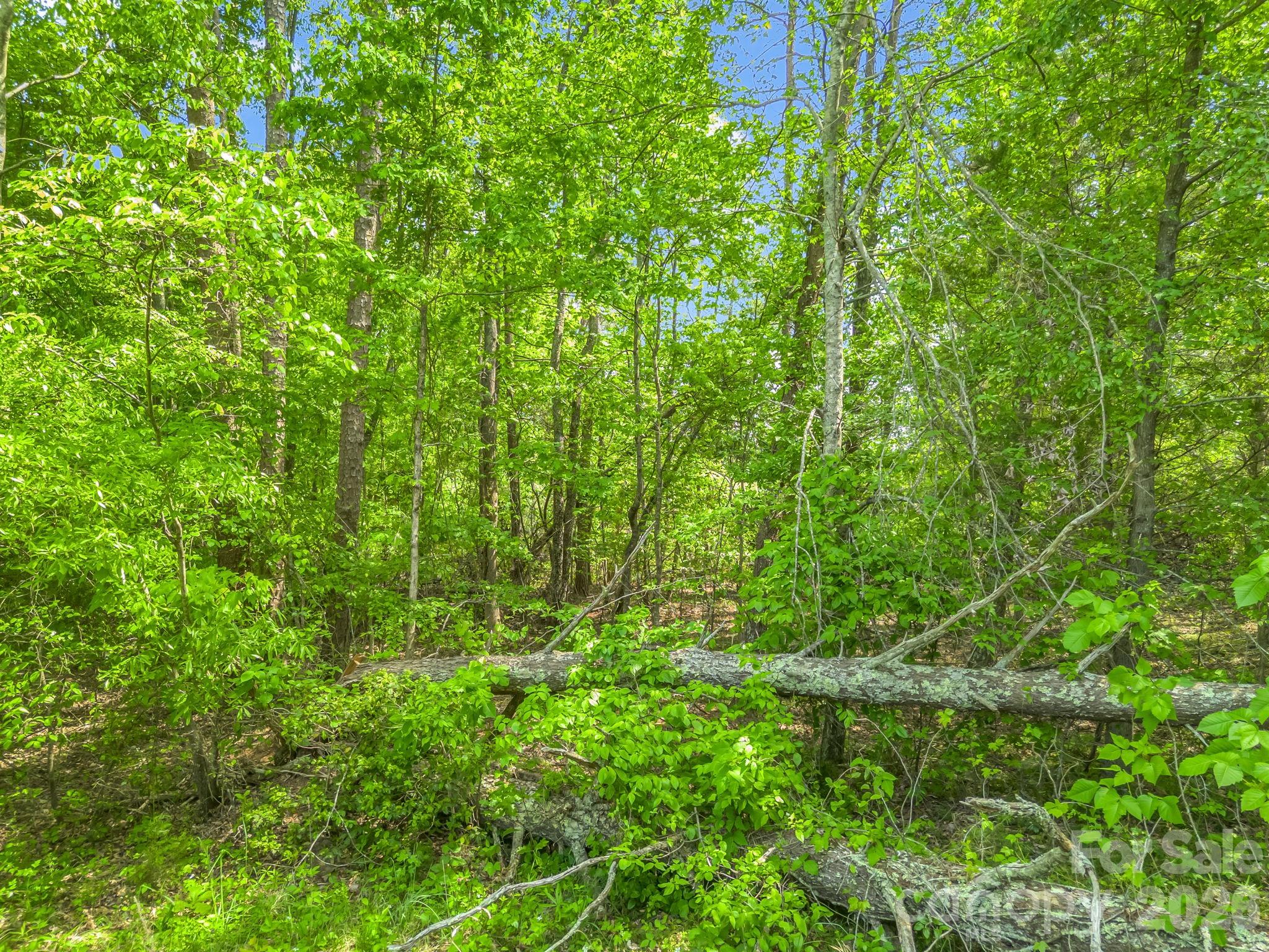 0 Smith Grove Road Forest City, NC 28043 - Photo 8 of 19